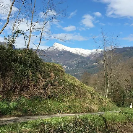 Giuliana Appartement Camaiore